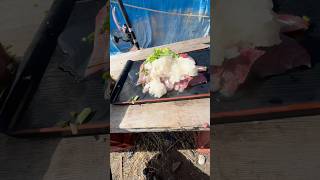 釣った魚のアレンジレシピ、先日の刺身動画のレシピはイナダの刺身にダイコンおろし、ポン酢とカイワレダイコンとミョウガと小ネギです食べてみて