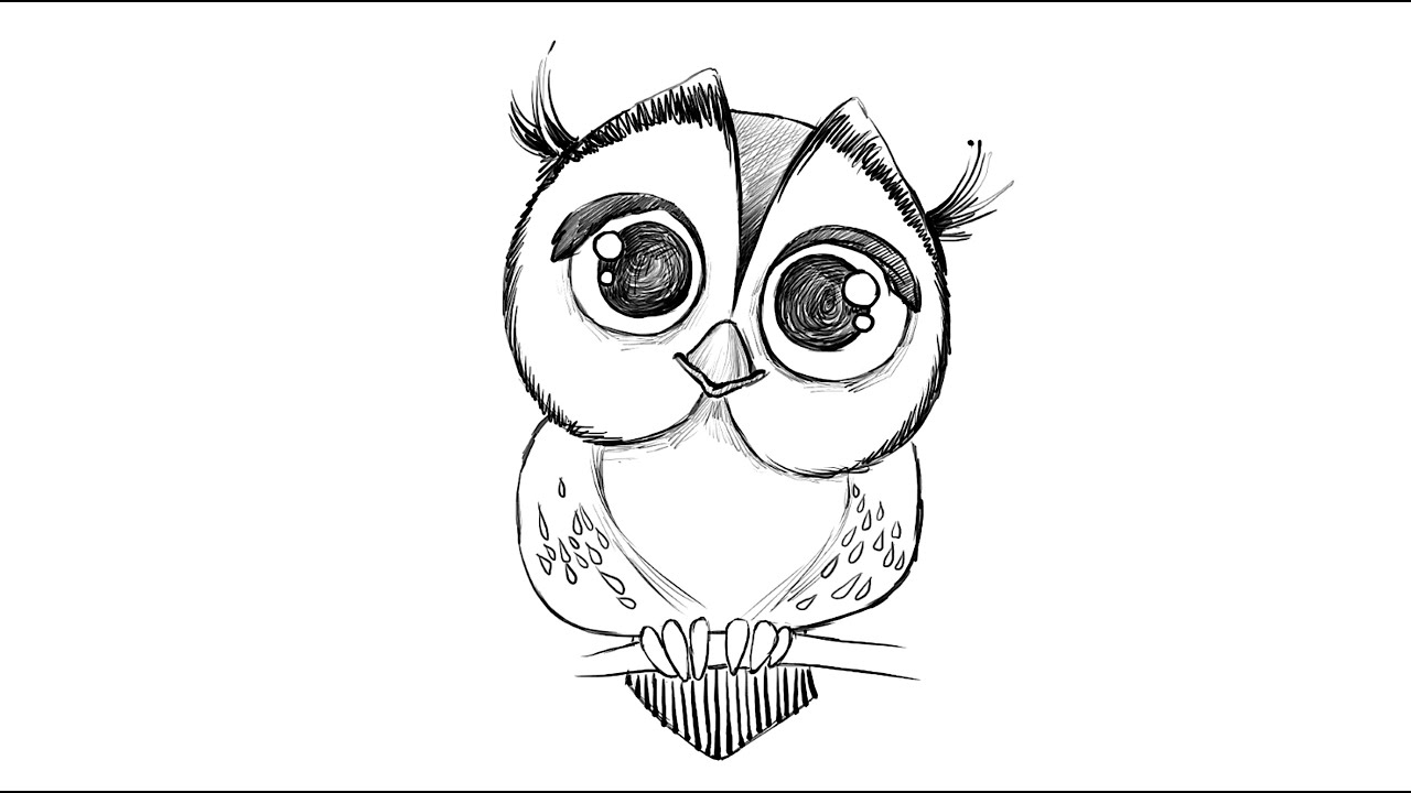 Funny Owl Drawings