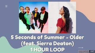 5 Seconds of Summer - Older (feat. Sierra Deaton) [1 hour loop]
