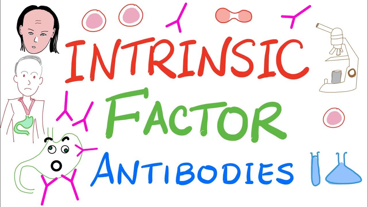 Intrinsic Factor Antibody Tests Labs 🧪 YouTube