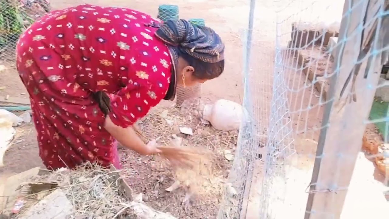 ഒരു വീട്ടമ്മക്ക് രാവിലെ. സംഭവിച്ചത്.. എത്ര പറഞ്ഞാലും കേൾക്കില്ല #viral #trending #lifestyle #soapm