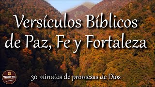 Versículos Bíblicos que te llenarán de Paz, Fe y Fortaleza | Biblia hablada | Bible audio