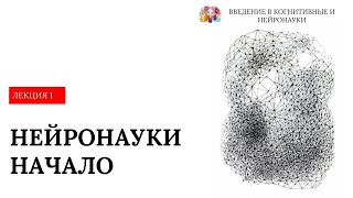 Введение в когнитивные и нейронауки. Лекция 1