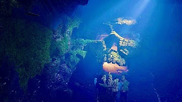 Grasp of Avarice / Gunslinger | Destiny OST Mashup