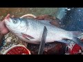 Giant Katla Fish Cutting 😱 Full Process | Fresh Big Fish Preparation #fishcutting #bigfish #seafood