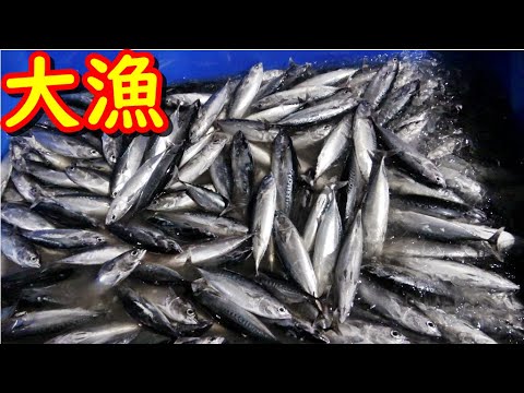 新鮮な魚が集まる小田原の巨大市場へ行ったら驚きの連続だった！！