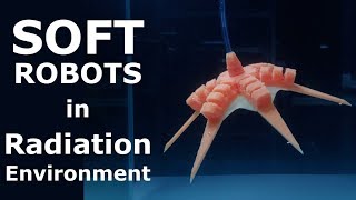 Evaluation of 3D Printed Soft Robots in Radiation Environments screenshot 4