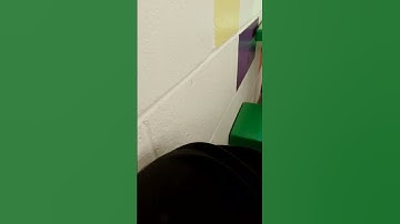 is this the perfect loop #animation #loop