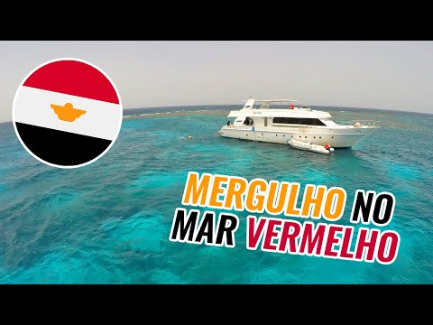 Vídeo: Nadar Com Golfinhos No Mar Vermelho Em Um Seafari No Egito