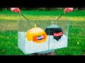 Experiment: Cola-cola VS Mentos VS Fanta