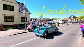Landesrapsblütenfest 2026 in Sternberg 