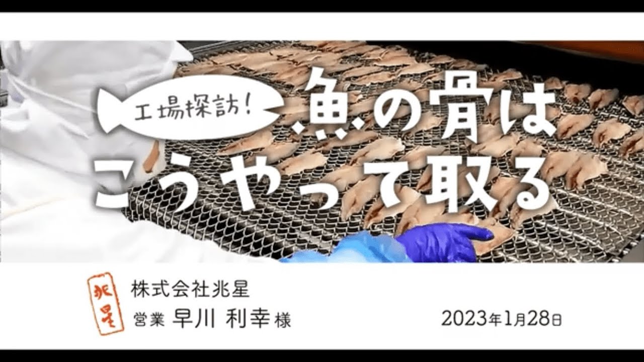 鯖 骨 の 取り 方