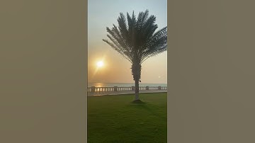 سورة الفلق _ الشيخ هيثم دخين