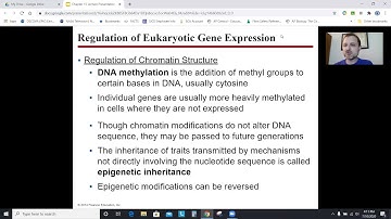 AP Biology Chapter 15: Regulation of Gene Expression