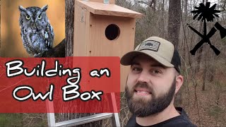 Homestead Project: Building an Owl Box, Screech Owl