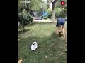 استهبال صينى  طقطقه حالتي