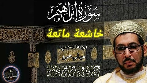 سورة إبراهيم | الشيخ عبد الرحيم نبولسي | برواية السوسي عن أبي عمرو