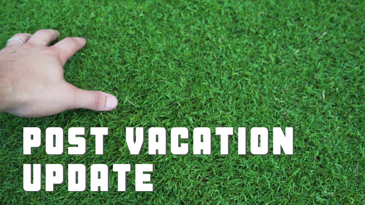 Bermudagrassgerminationtimelapse Lorene Jordan Info