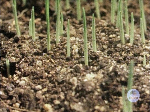 Soil Is Alive: Soil Health Trailer