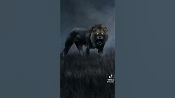 تحكيها طق بطق 