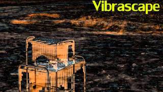 New 2011 Optigan Disc - VIBRASCAPE