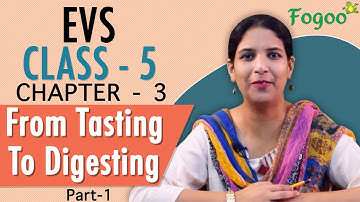 NCERT EVS Class 5 Chapter 3 Part 1 | Chakhne Se Pachne Tak In Hindi | Fogoo Bharat Learn