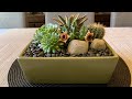 Succulent and Cacti Arrangement in a beautiful rectangle ceramic dish