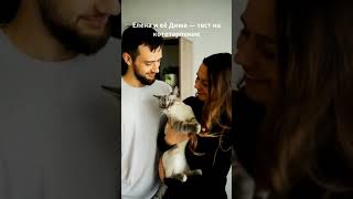 Елена и её Дима — тест на кототерпение