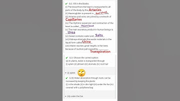 chapter 11 transportation in Animals and Plants Exercises