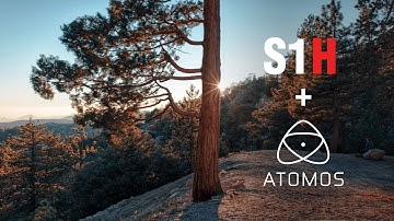 Panasonic S1H Cinematic test footage | Atomos PRORES RAW 5.9K BETA