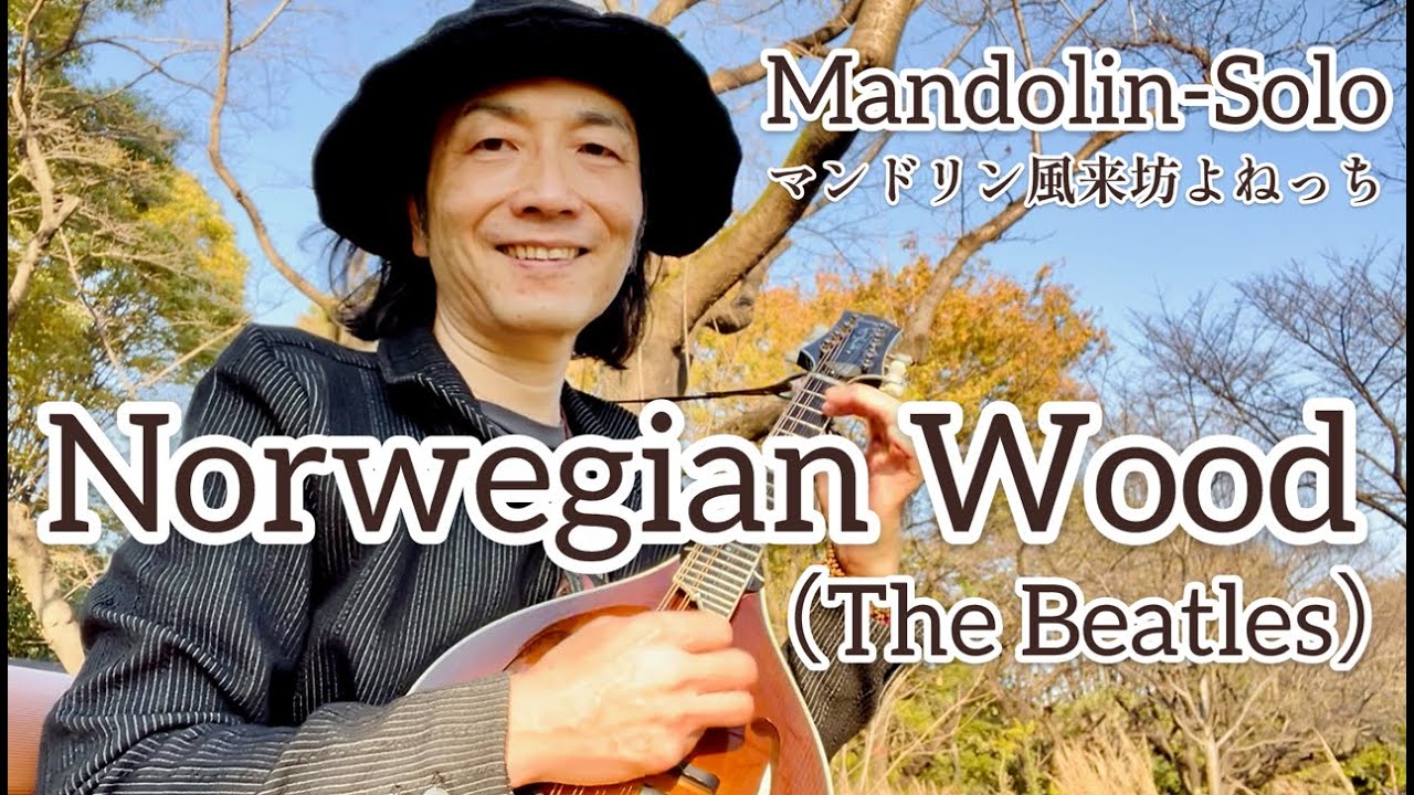 Mandolin-Solo】Norwegian Wood(The Beatlesカバー) ／ マンドリン