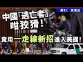 20240510F 中國「逃亡者」咁狡猾！竟用一走線新招進入美國！