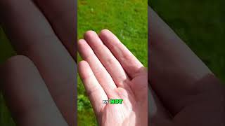 Dont Tell Anyone! The REAL Secret to Protecting Your Gold & Silver #shorts