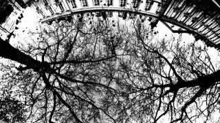 Evergreen Refuge - Admiration / Transformation