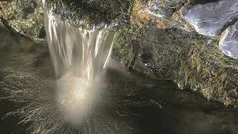 Est-ce que l'eau bénite se boit ?