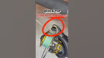 EASY REEL fix. Line not under bail quick tip #fishingvideo #fishingknot #fishingtips #fishinglife