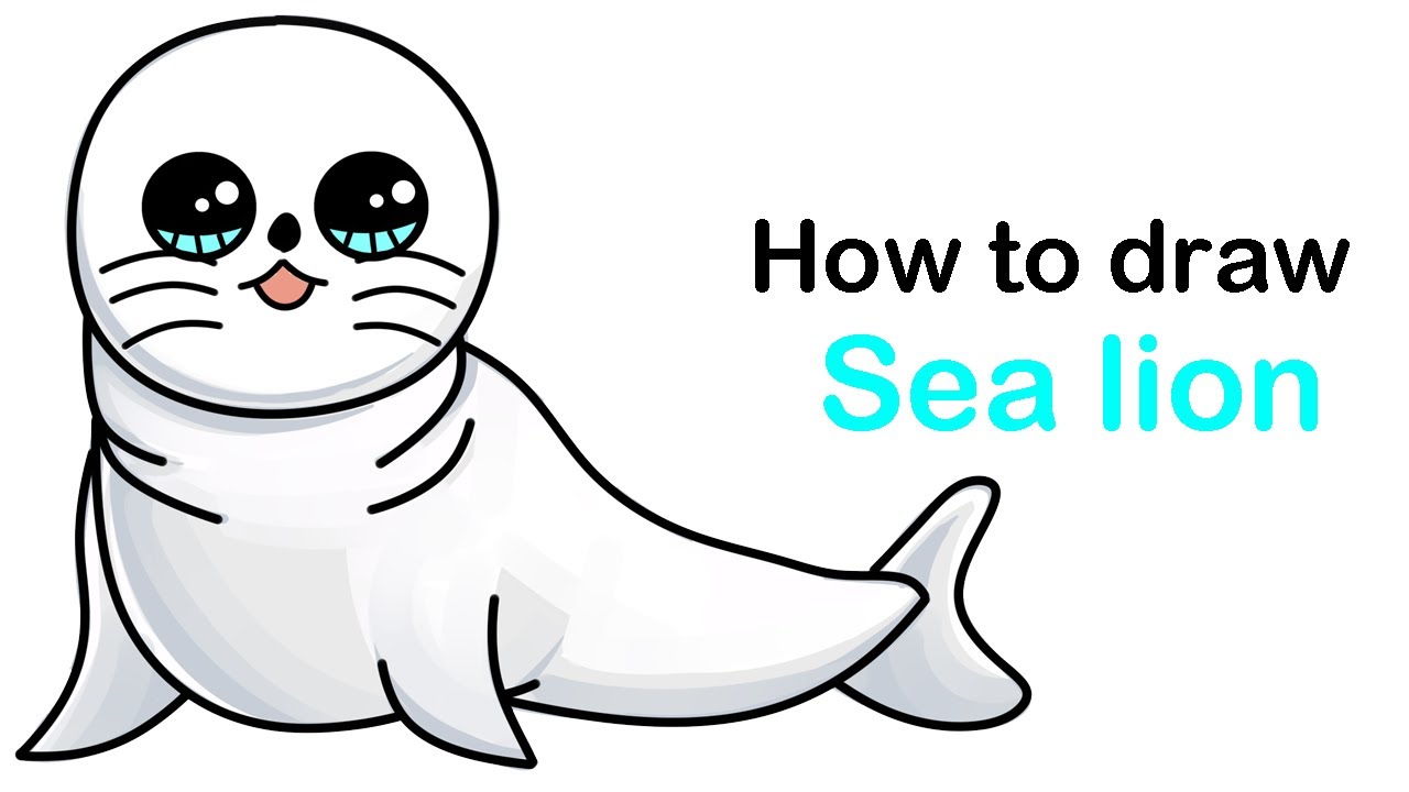 How To Draw A Baby Seal Cartoon 