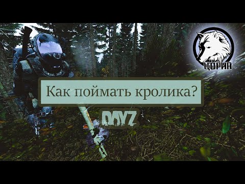 Dayz ЦОРИА | Охота на кроликов | Гайд
