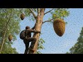 Extreme Wild Bee Hunting at 200 Meters!