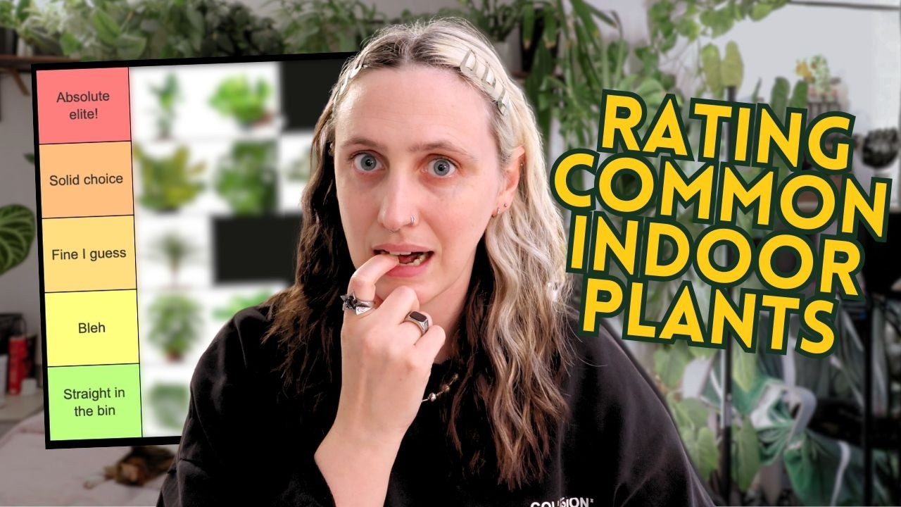 Rating Common Indoor Plants 🌿 Unpopular Opinions