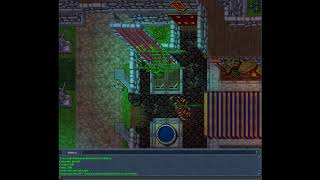Tibia Pet System Top Pex RPG 3.1