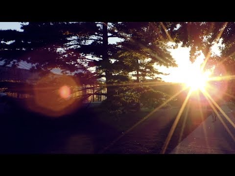 MSU 360.24 Photo Documentary: A Day in the Lives of Spartans