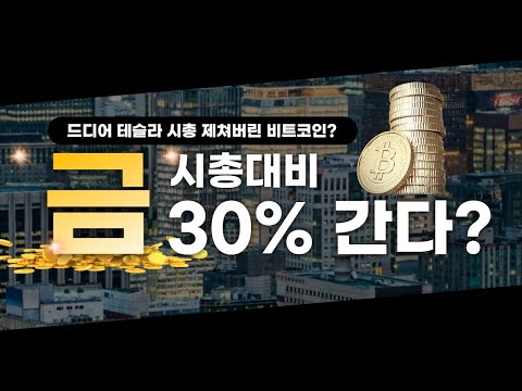   4월14일 디지털골드 비트코인 시가총액으로 보는 비트코인의 성장동력 쩔코TV