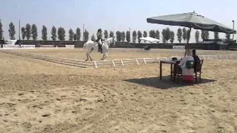 Alexandra Downing Dressage UK