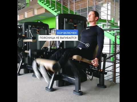 Разгибание голени в тренажере #shorts - YouTube
