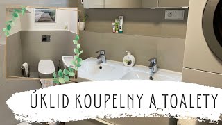 PONDĚLÍ - týdenní ÚKLID koupelny a toalety