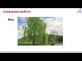 Русский язык, 3 класс. 4 урок. Тема урока: Дарит осень всем подарки