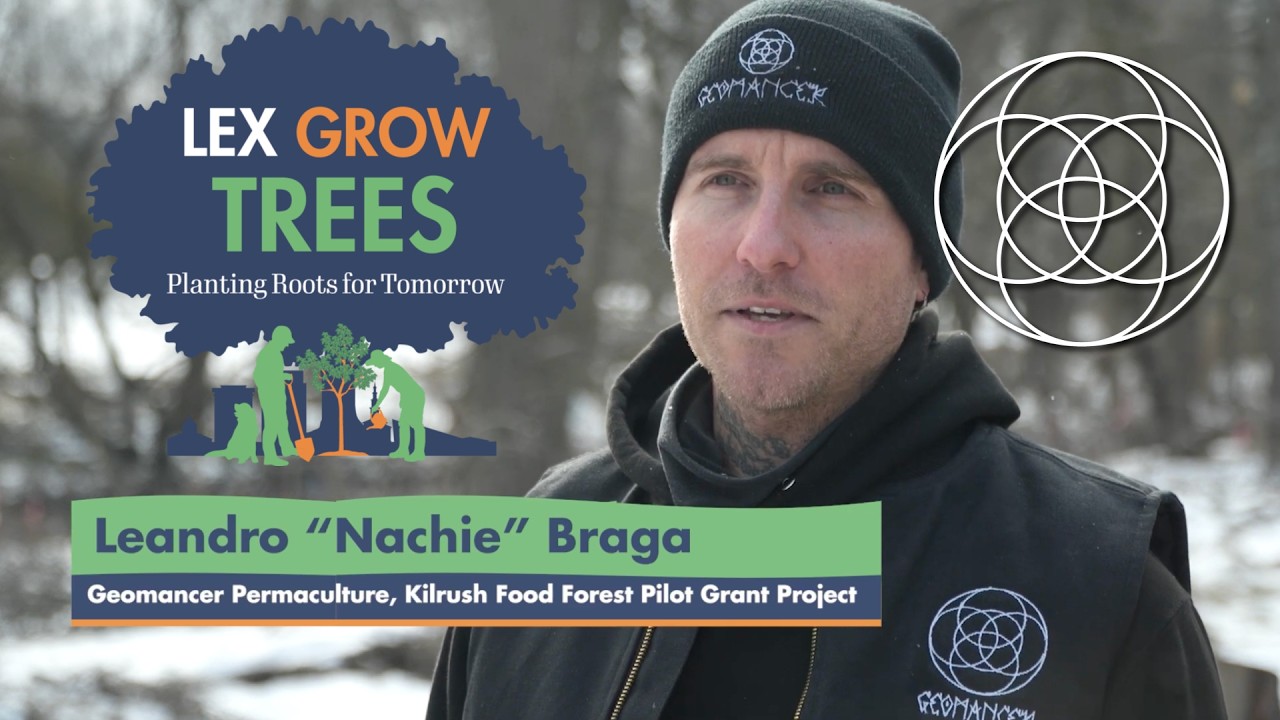 Urban Forestry as Social Infrastructure - Lex Grow Trees Interview (Kilrush Food Forest 2025)