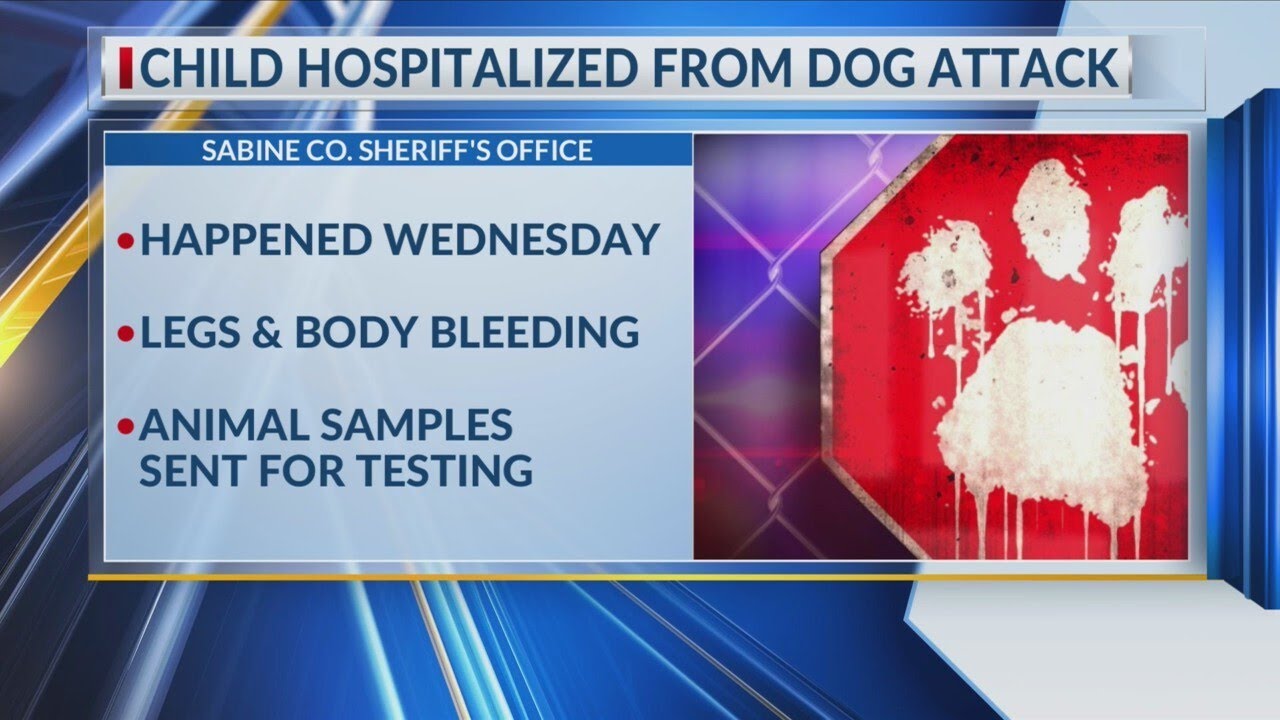 10-year-old boy hospitalized after dog attack in East Texas backyard ...