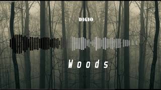 "WOODS" - Sick Trap Beat (prod. Digio)